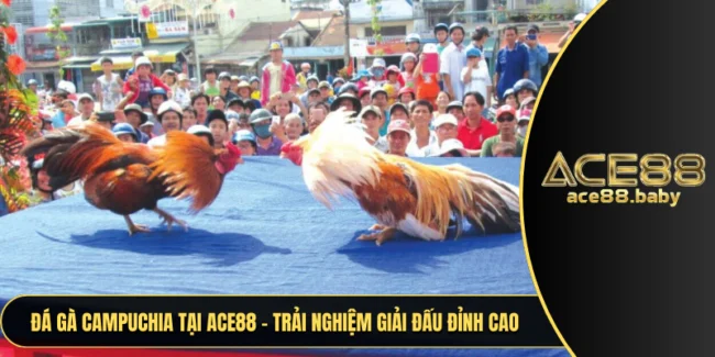 Đá Gà Campuchia
