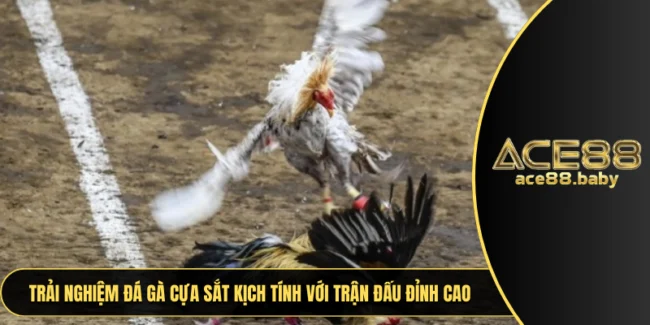 Đá Gà Cựa Sắt
